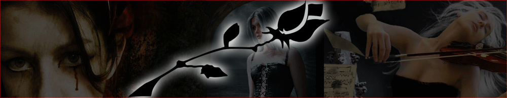 Bannière Rose Noire