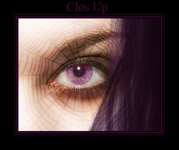Clos Up Violette Gothique